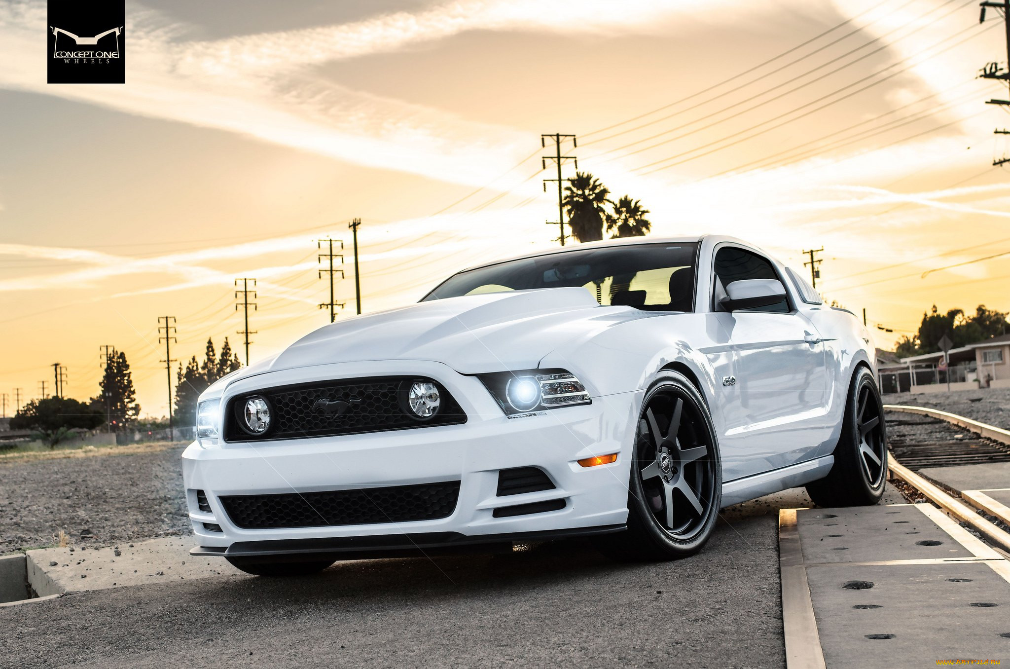 , mustang